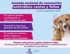Arranca este domingo la campaña de vacunación antirrábica