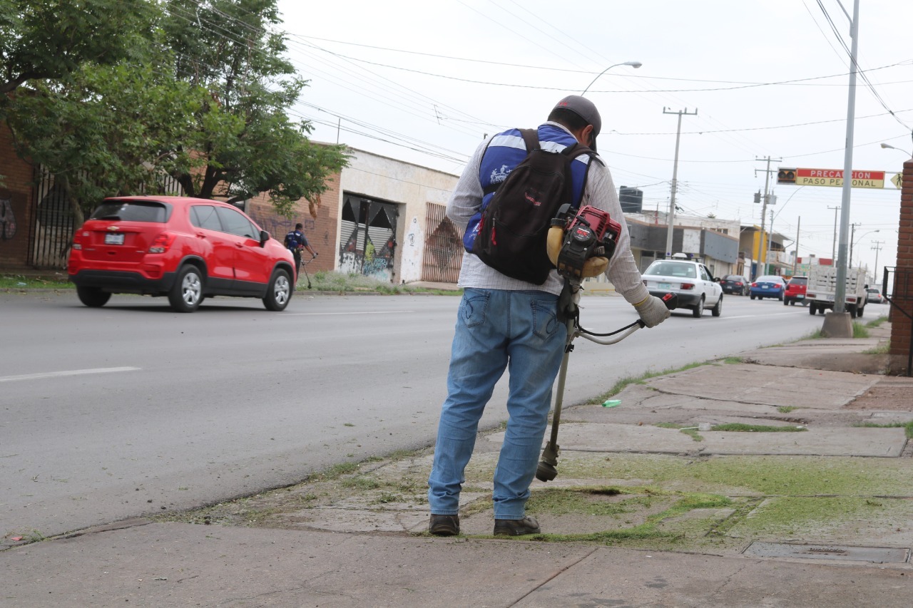 Sigue operativo permanente de limpieza en avenidas al sur de la ciudad