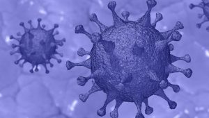 Coronavirus surgió tras su modificación en un laboratorio, sugiere estudio