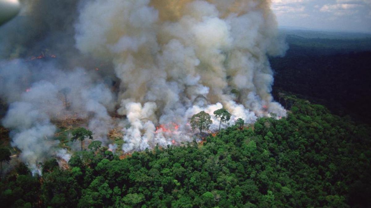 En junio sufrió el Amazonas sus peores incendios en 14 años