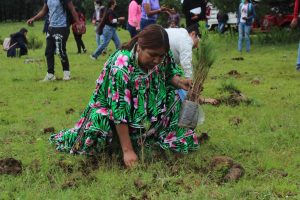 Realiza Estado mega reforestación en Guachochi
