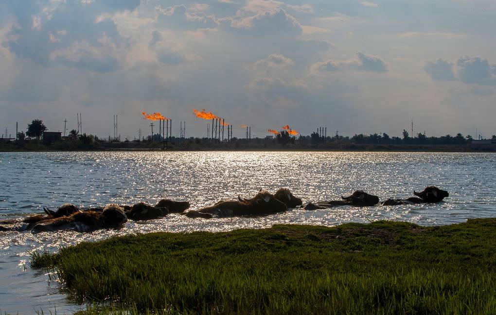 Se suspende la producción de petróleo en los yacimientos más grandes de Irak