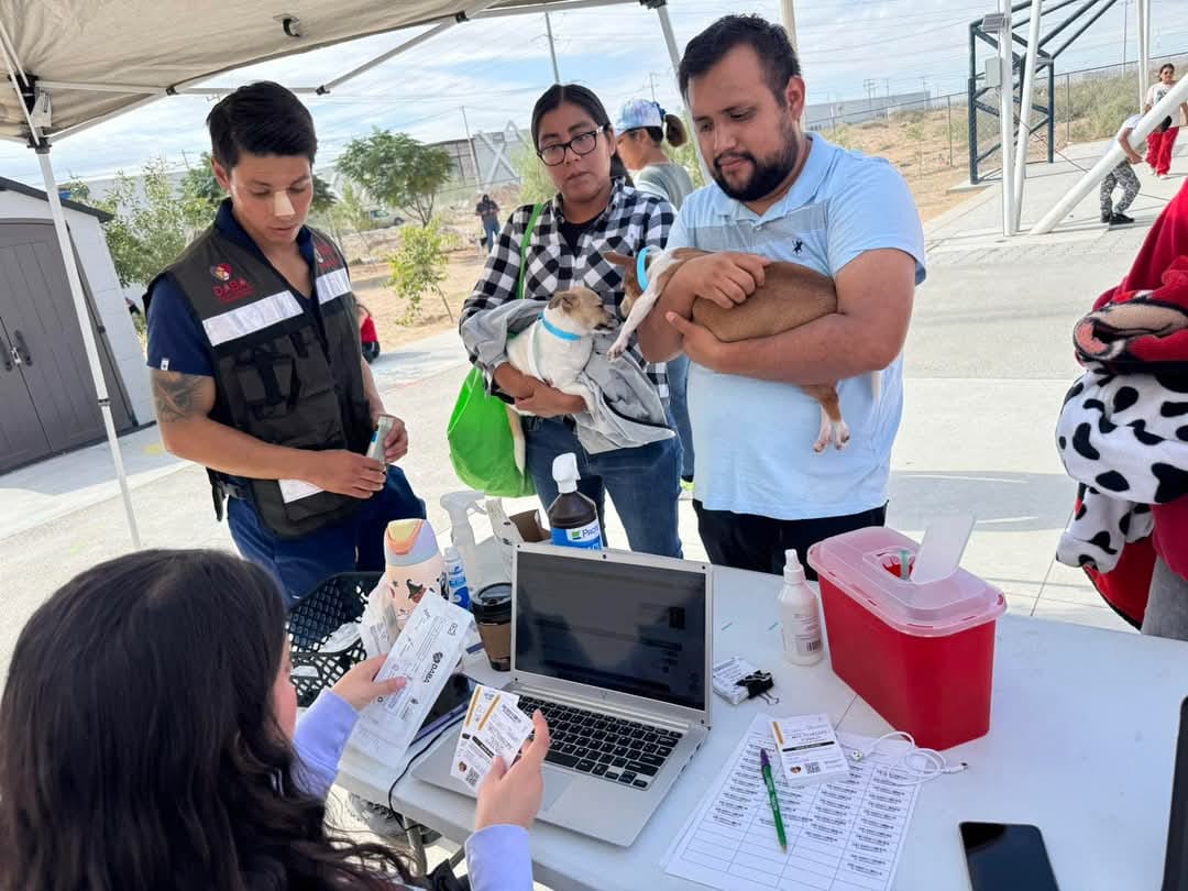Invitan a juarenses a vacunar a sus mascotas con garrapatas