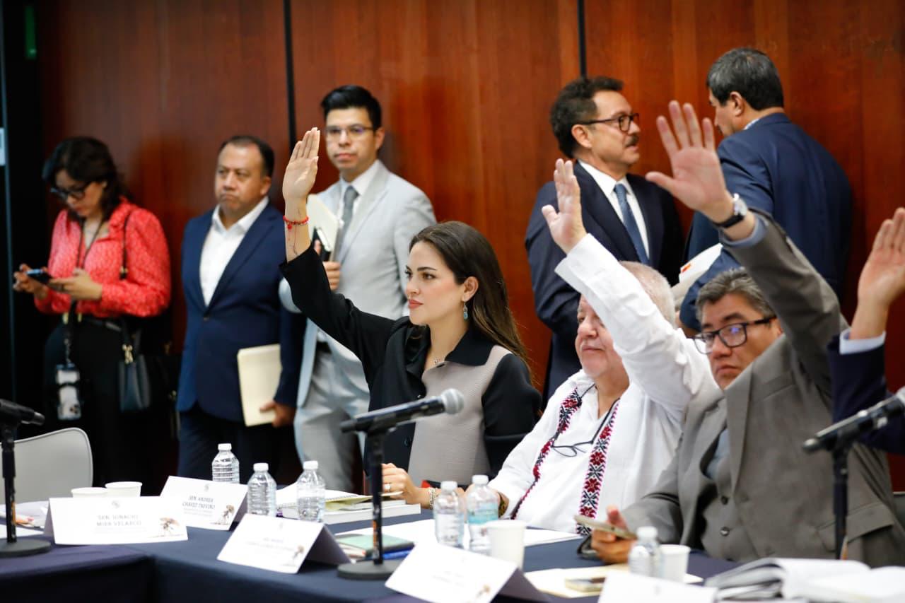 Andrea Chávez celebra el avance del Plan B en comisiones