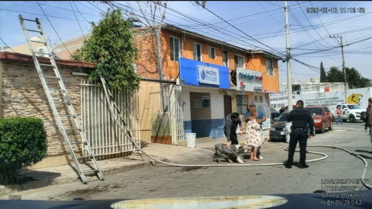 Rescataron Bomberos a pareja y sus cuatro perritos tras incendio