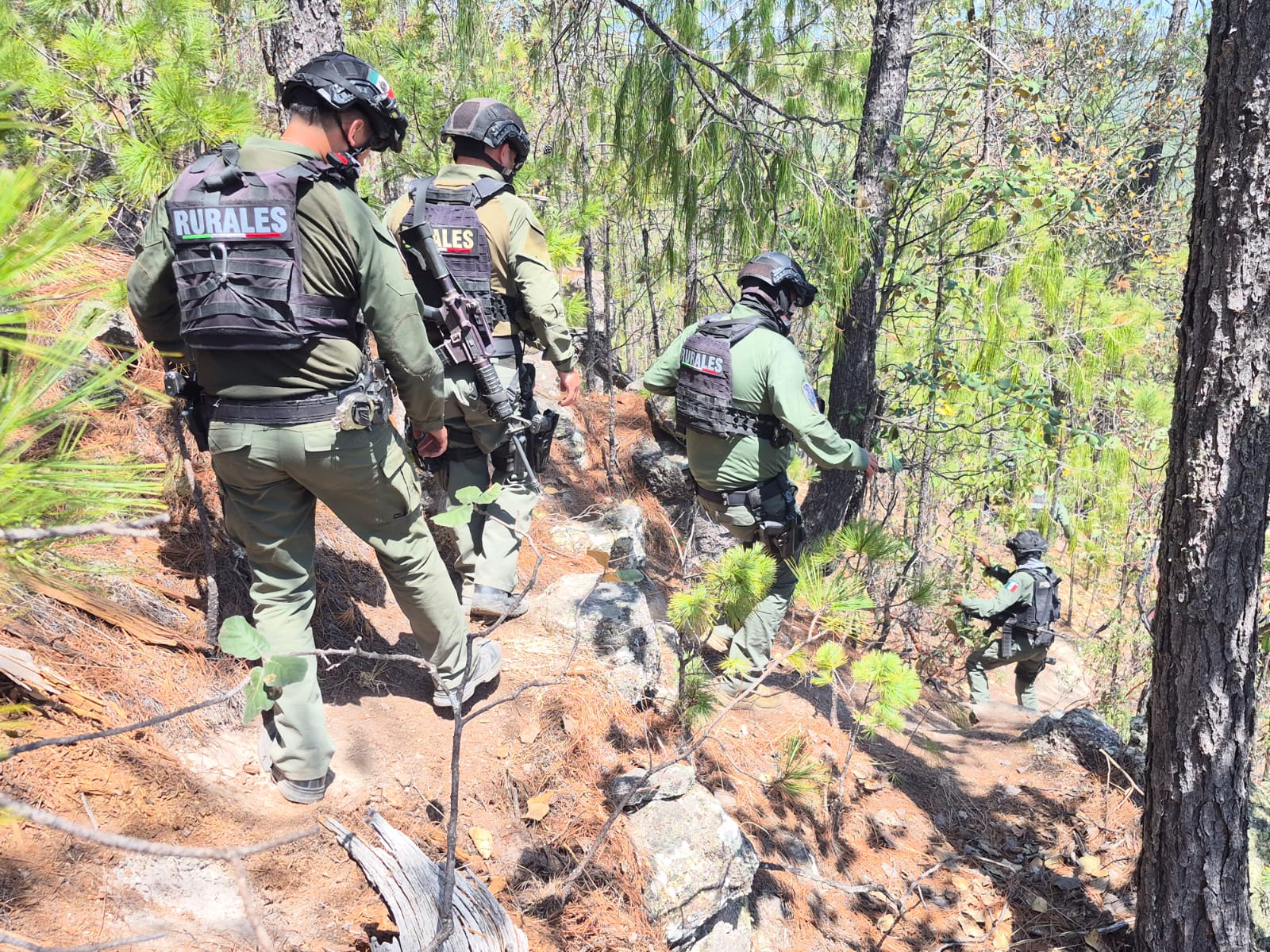 Destacan arresto de 7 generadores de violencia en Guadalupe y Calvo