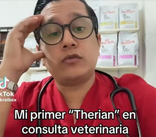 Veterinario narra encuentro con paciente therian