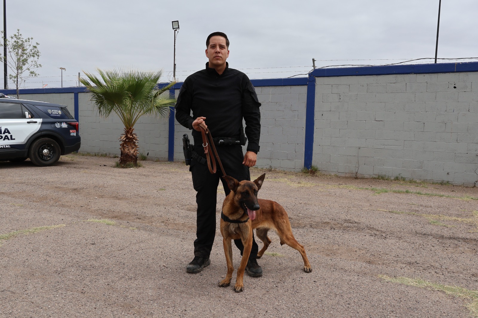 Elementos caninos, listos para velar por la seguridad