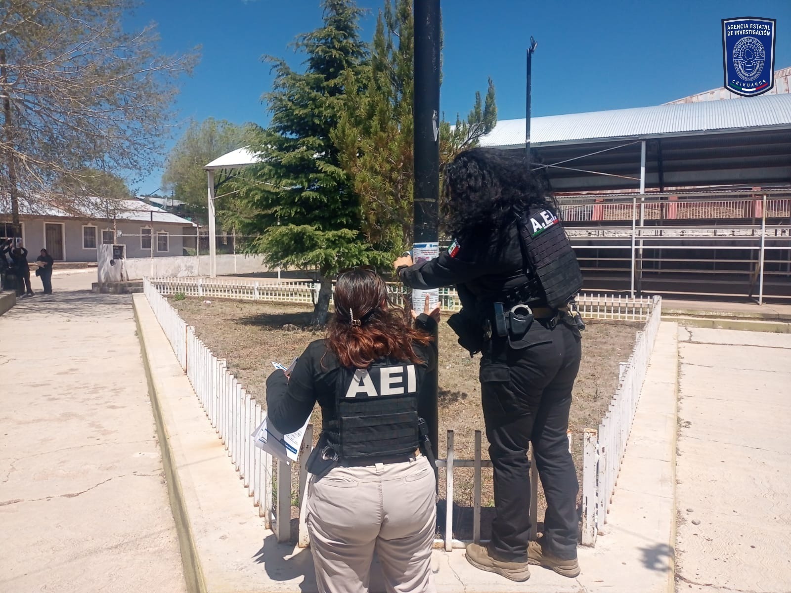 Realiza FGE acciones de búsqueda y pega de pesquisas en Madera