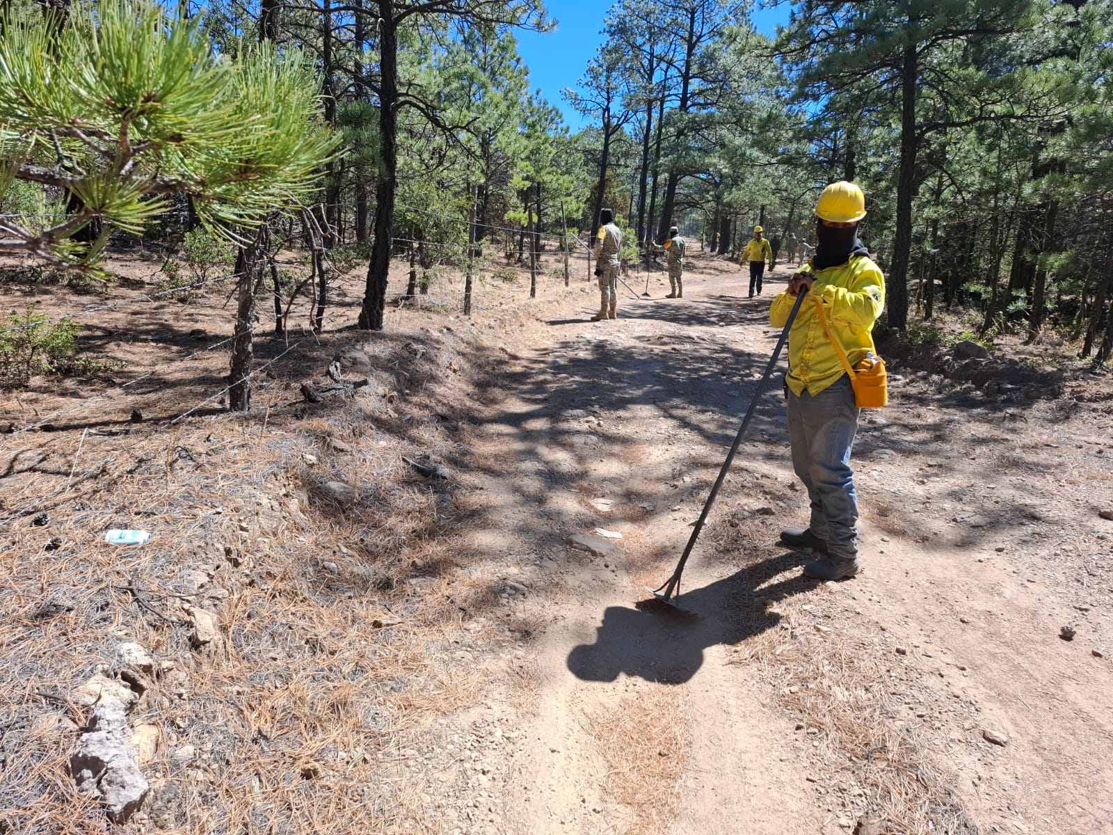 Llama SDR a no realizar quemas agrícolas para evitar incendios forestales