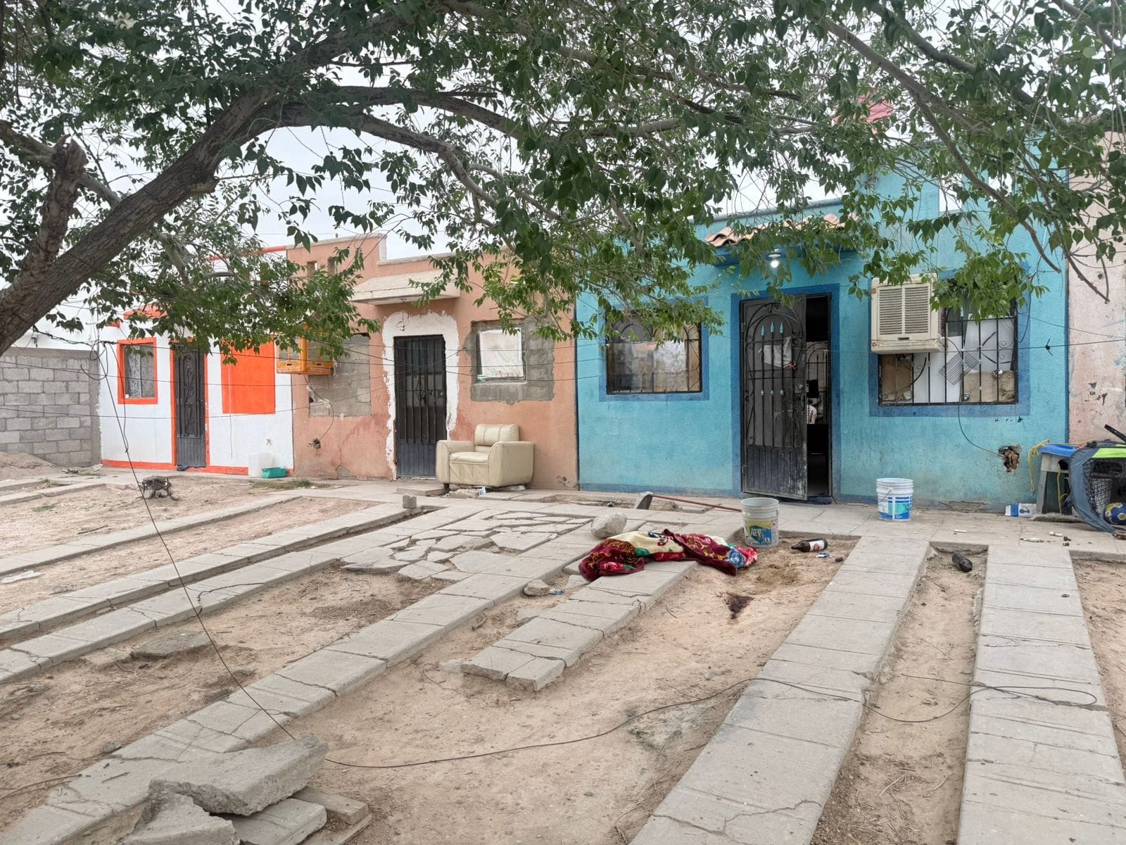 Vinculan a proceso a hombre por quitarle la vida a perrito