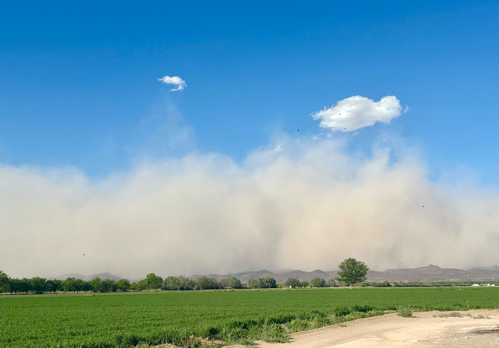 Mantiene CEPC alerta por ráfagas de viento superiores a 75 km/h