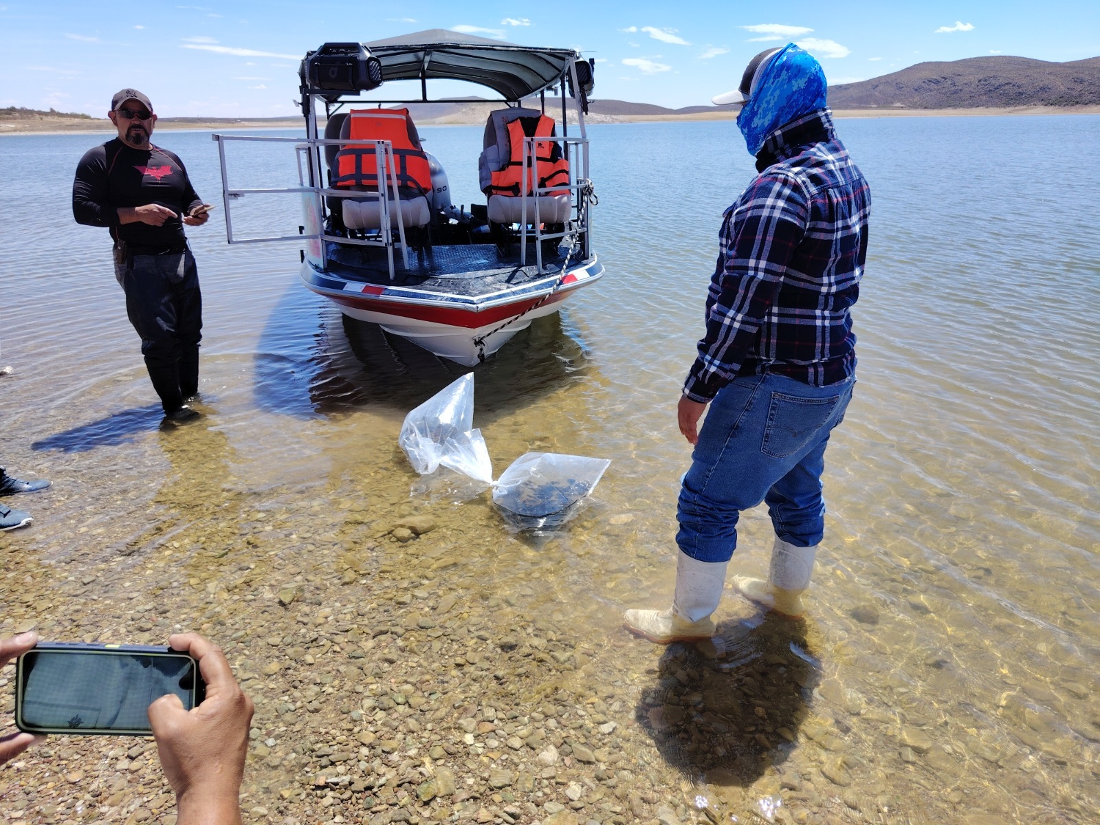 Arranca SDR siembra de más de 800 mil alevines de tilapia