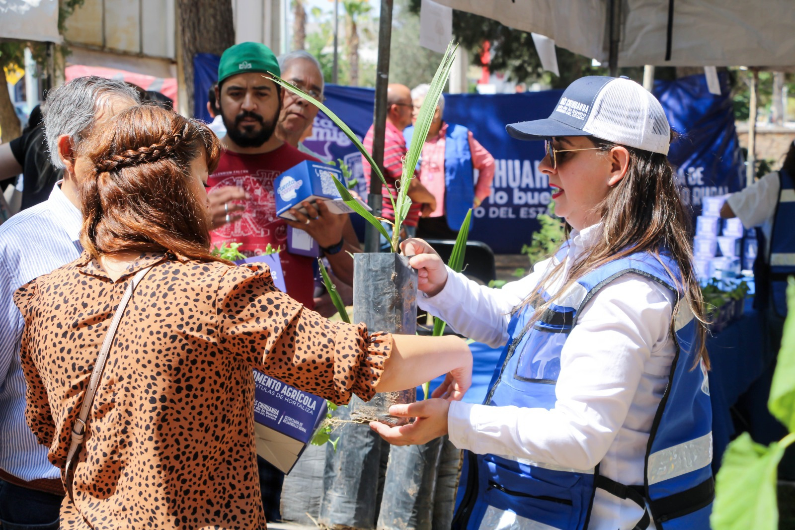 Más de 800 personas acuden por semillas, árboles y plántulas