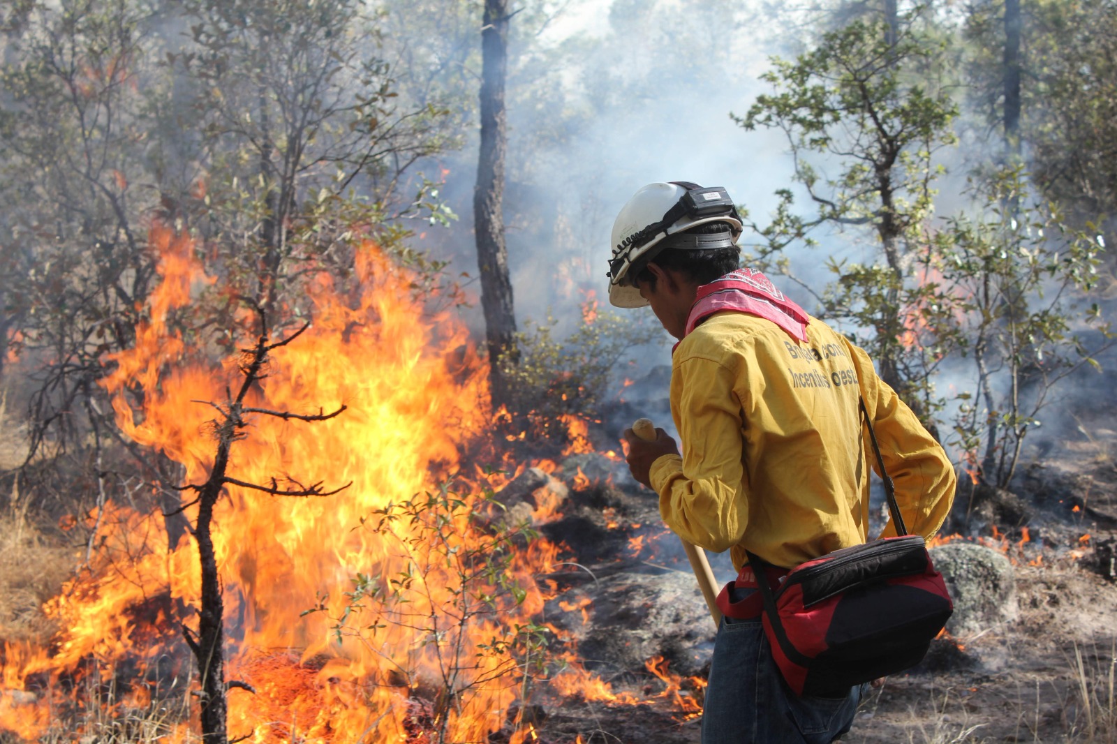 Liquidados 184 incendios forestales en 5 meses