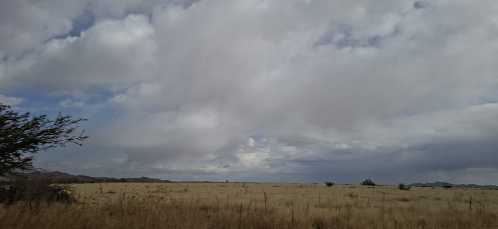 Pronostican lluvias y fuertes ráfagas en gran parte del estado