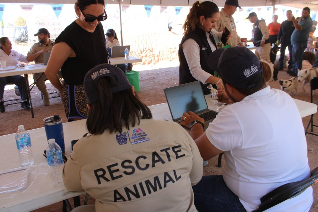 Otorgó Municipio más de 2 mil servicios gratuitos para mascotas