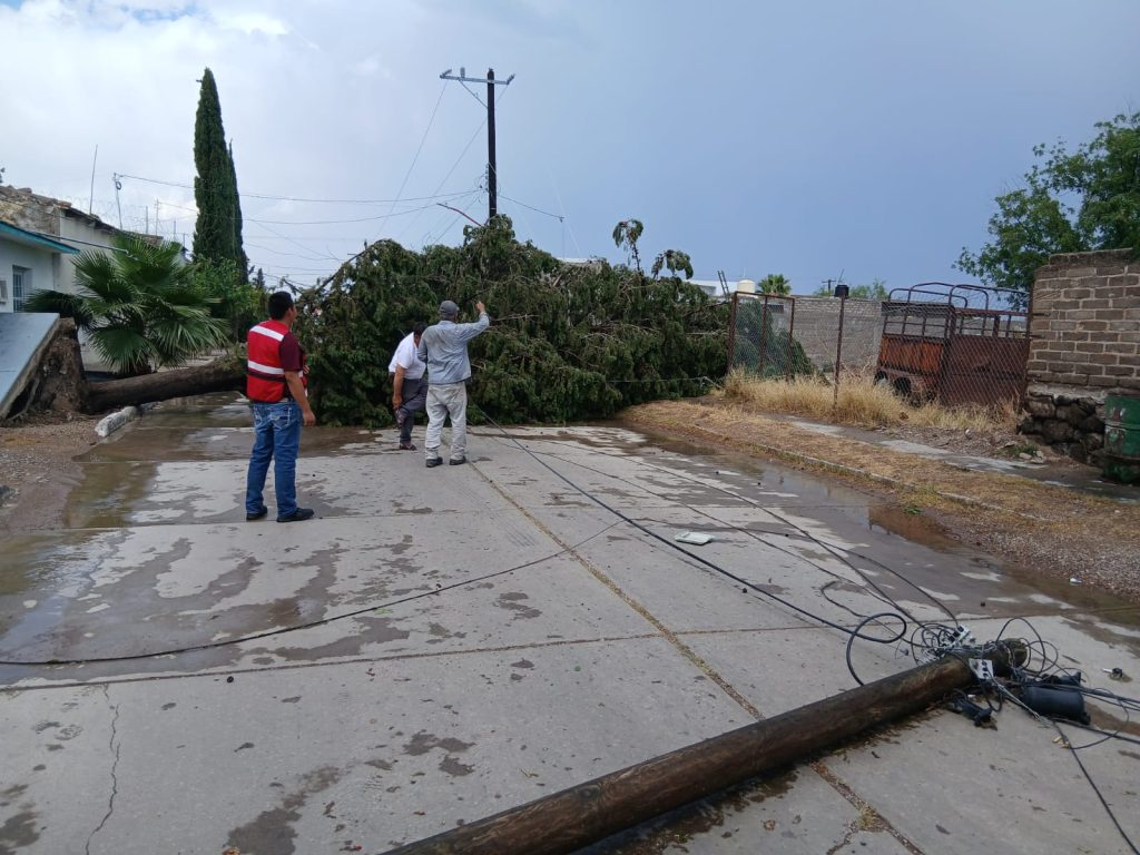 Atiende CEPC 28 incidencias por lluvias en el estado