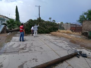 Atiende CEPC 28 incidencias por lluvias en el estado
