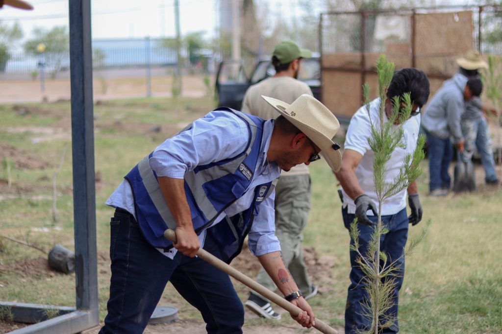 Nueva jornada de reforestación en Parque Central
