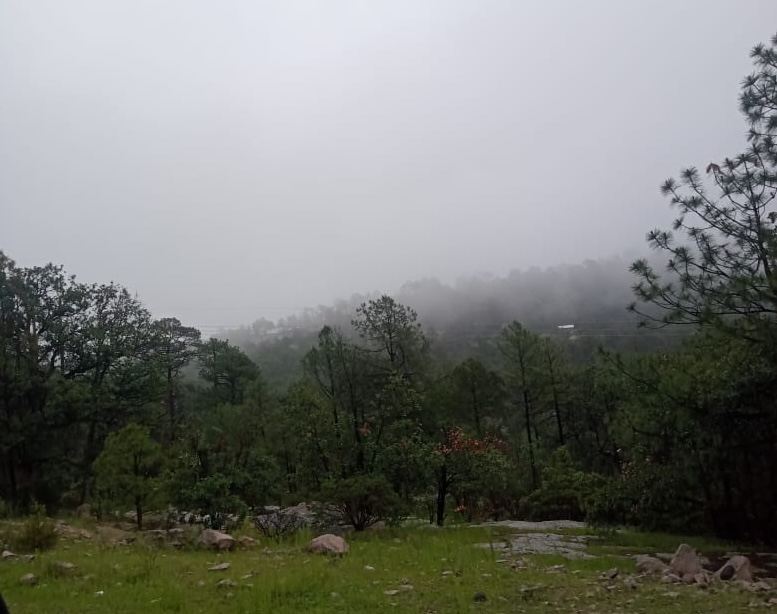 Prevén lluvias intensas y vientos de hasta 55 km/h