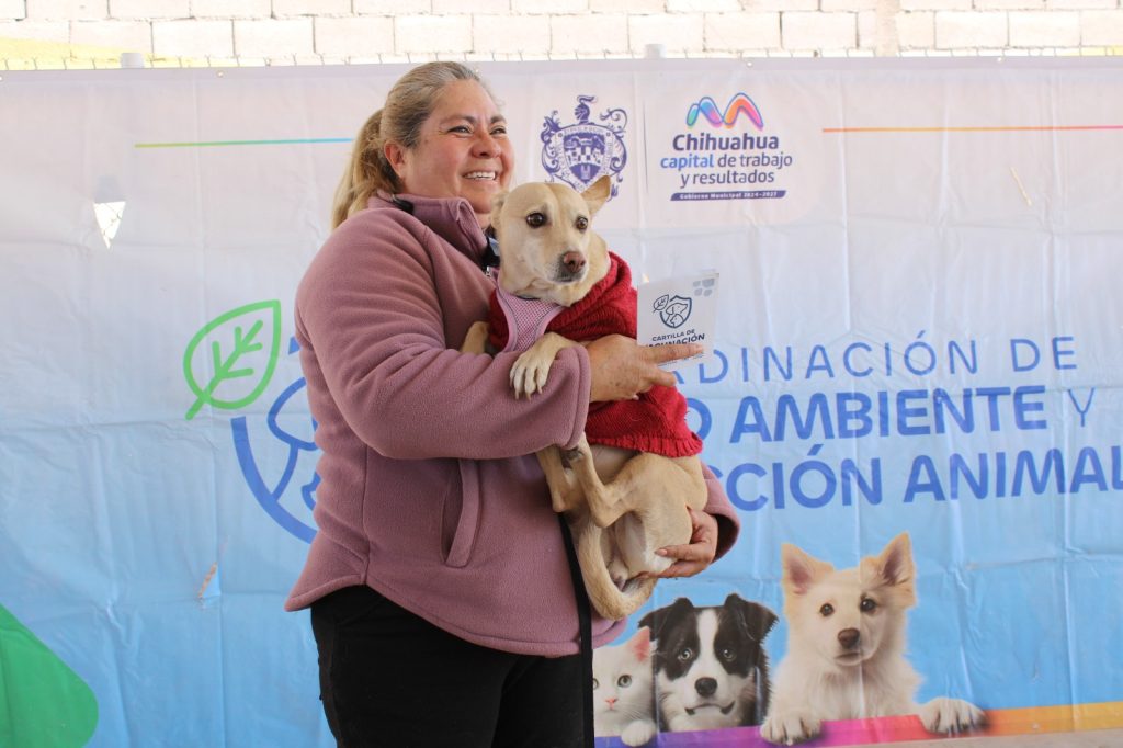 A un año de su creación, checa los resultados de la Coordinación de Protección Animal
