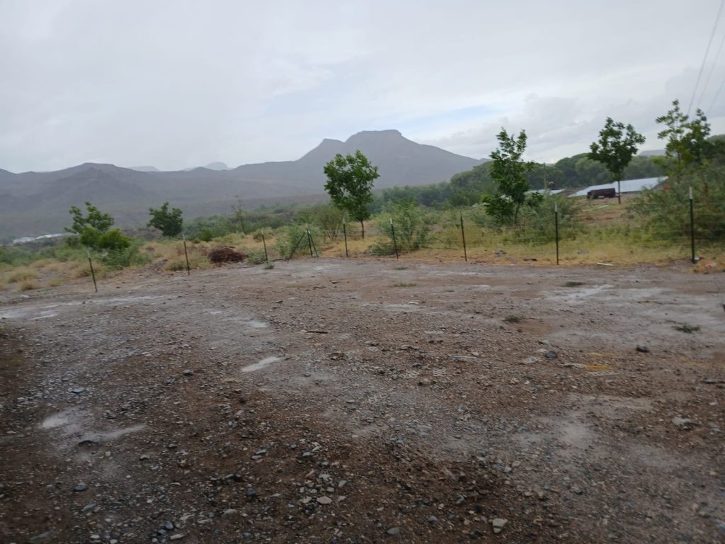 Prevén tolvaneras, lluvia y calor de hasta 42 grados