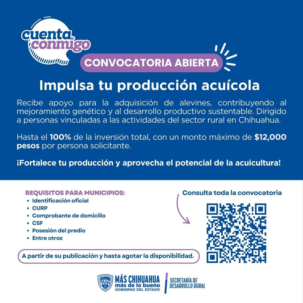 SDR abre convocatoria para alevines