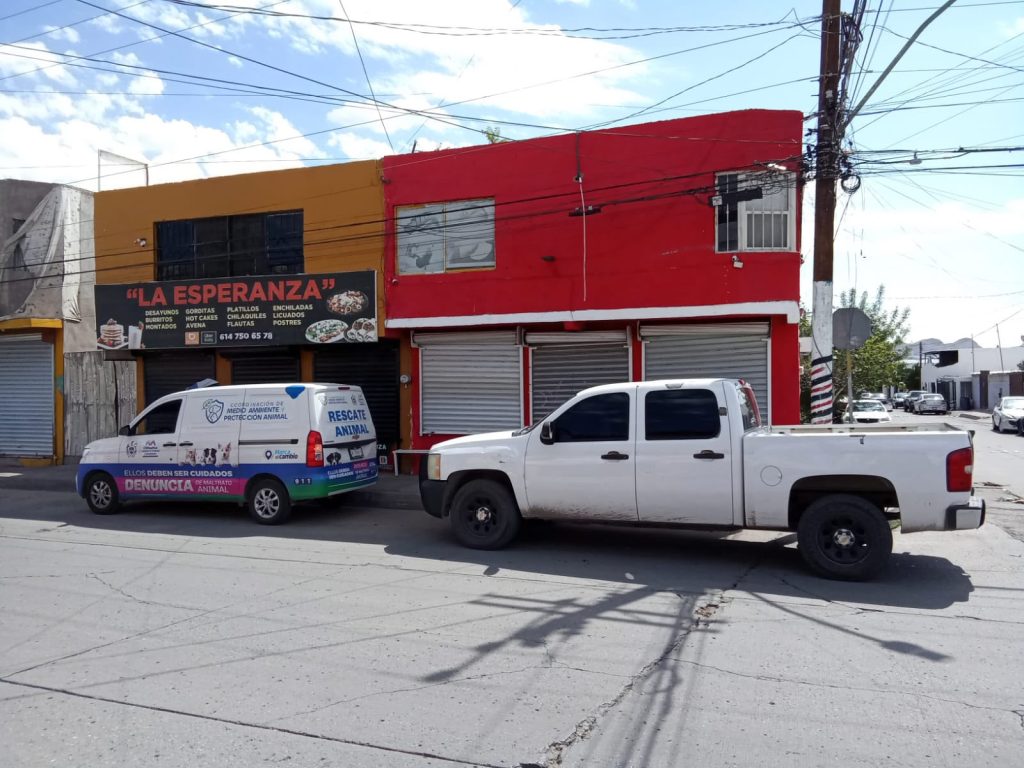 Detuvieron a sujeto que arrastró a perro por la calle