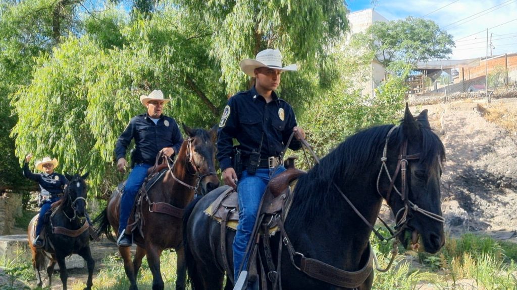 “Grupo Charly”, único en el estado y con 14 equinos al servicio para la seguridad