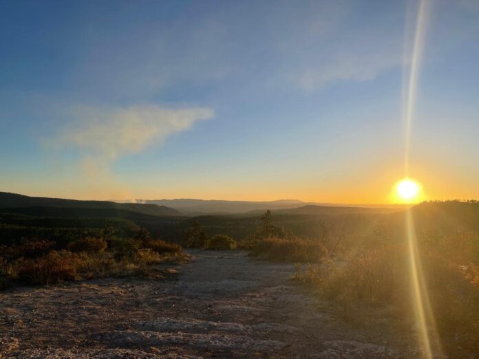 Seguirá calor intenso; prevén máxima de 39°C