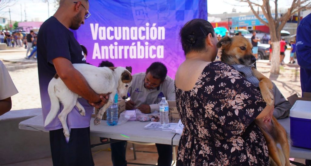 Llama Estado a prevenir enfermedades transmitidas por animales