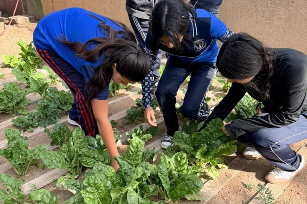 Huertos escolares siembran aprendizaje en comunidades rurales