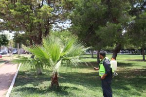 Protege Municipio los espacios públicos con fumigación preventiva