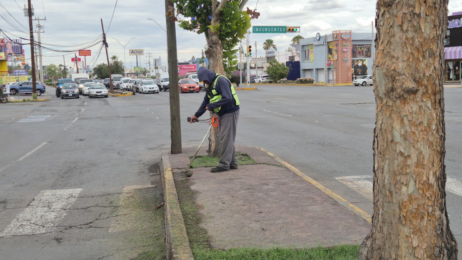 Refuerza Municipio el corte y retiro de maleza en vialidades