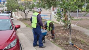 Realiza Municipio mantenimiento en parques